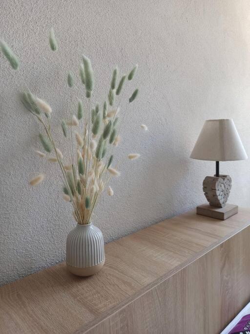 Appartement Cosy Au Coeur Du Mercantour 瓦尔代布洛尔 外观 照片
